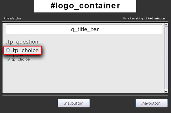 css_resized8.jpg